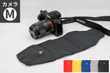 _go polygon W for camera M